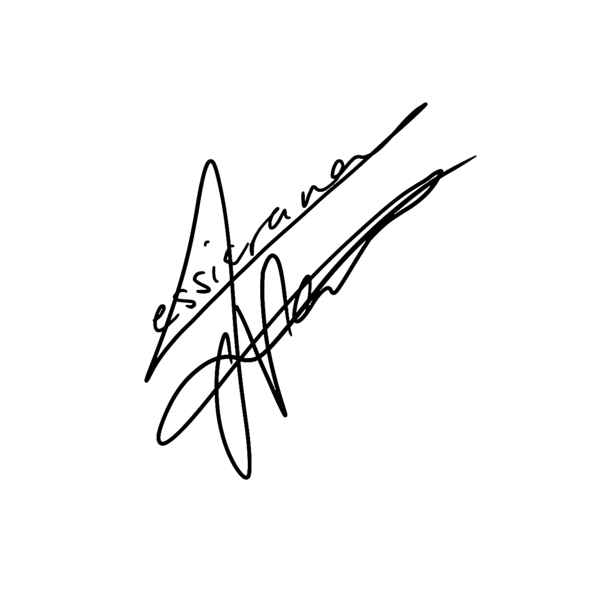 signature bold TRANSPARENT black